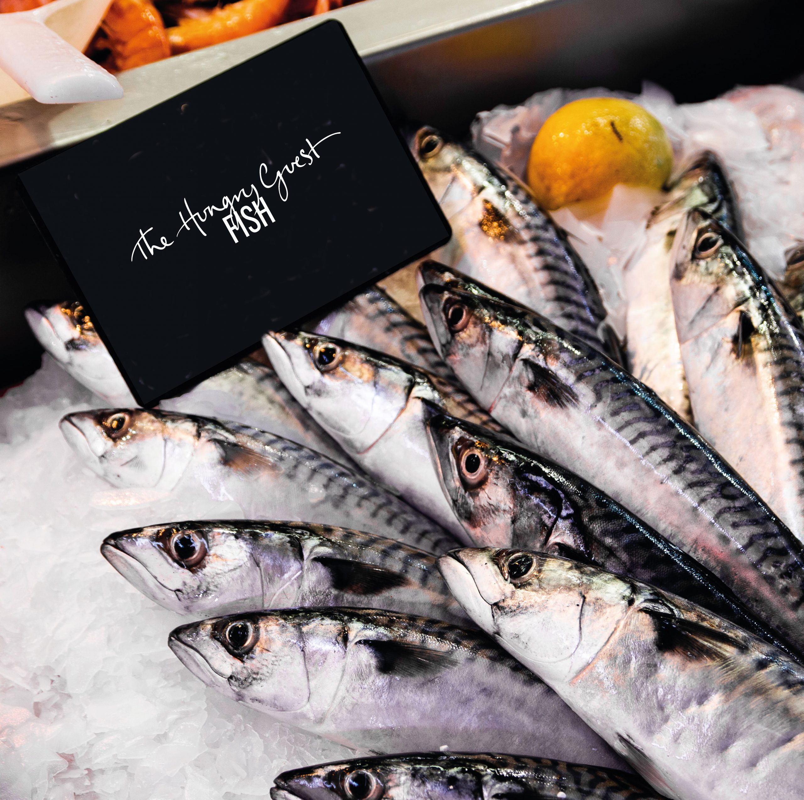 https://thehungryguest.com/app/uploads/2022/03/Fish-scaled.jpg