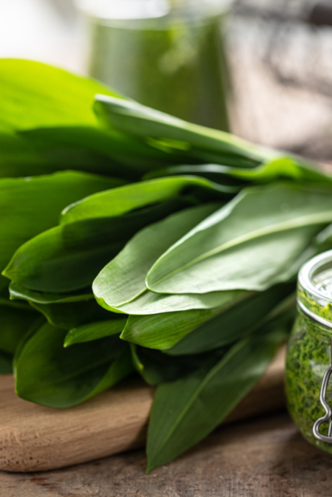 Wild garlic and Pesto in a jar