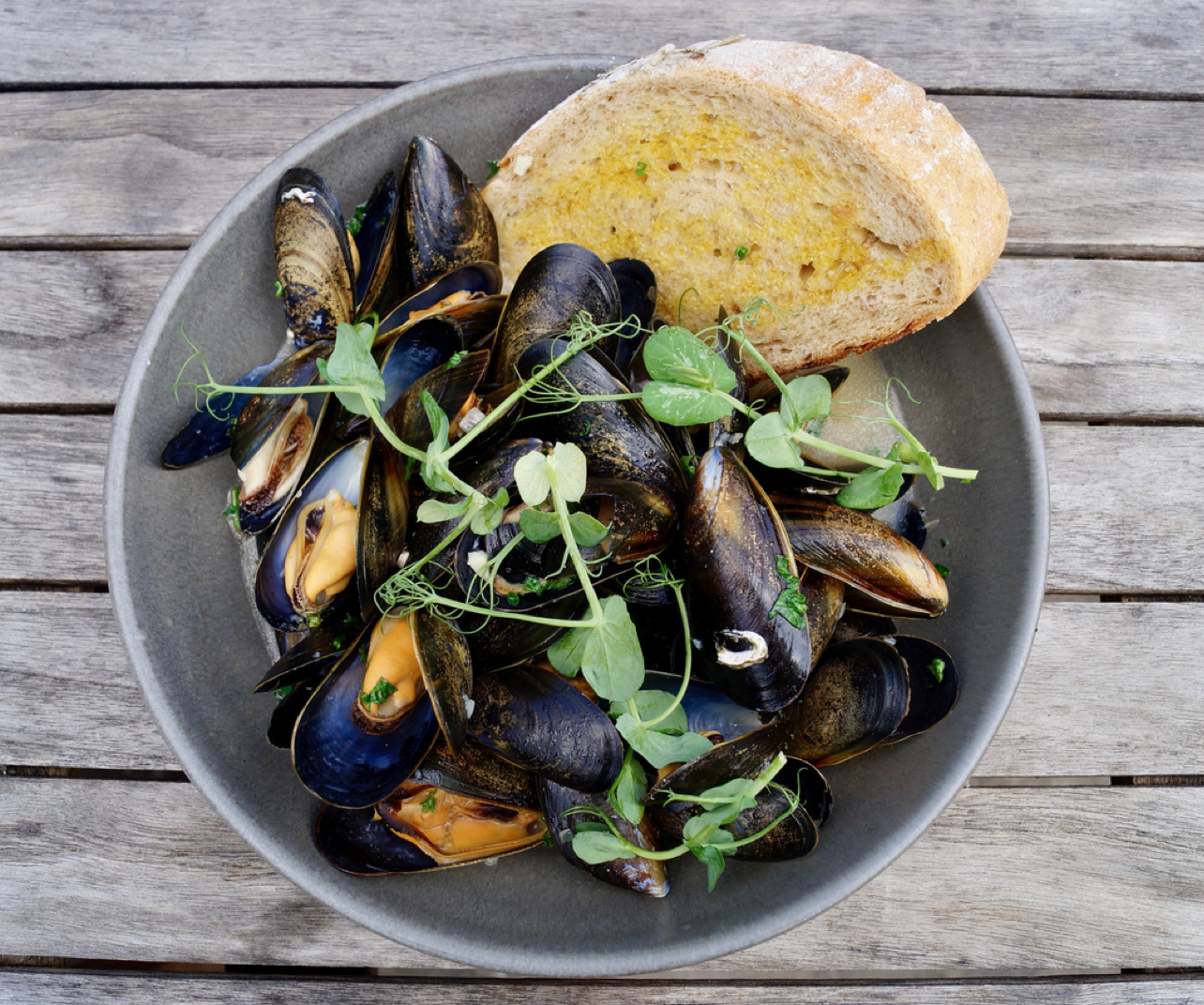 Steamed Muscles recipe