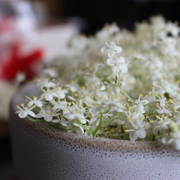 Elderflower in a bowl